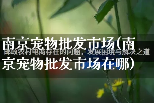 南京宠物批发市场(南京宠物批发市场在哪)_https://www.rzcpcj.com_淘宝运营_第1张