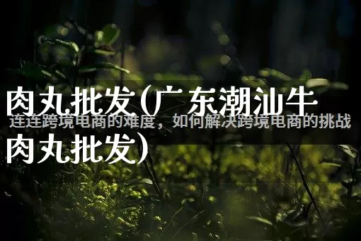 肉丸批发(广东潮汕牛肉丸批发)_https://www.rzcpcj.com_开网店_第1张