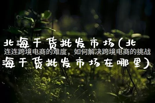 北海干货批发市场(北海干货批发市场在哪里)_https://www.rzcpcj.com_天猫运营_第1张
