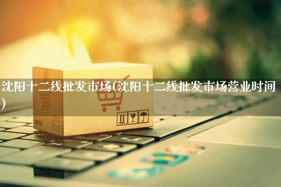 沈阳十二线批发市场(沈阳十二线批发市场营业时间)_https://www.rzcpcj.com_直通车_第1张