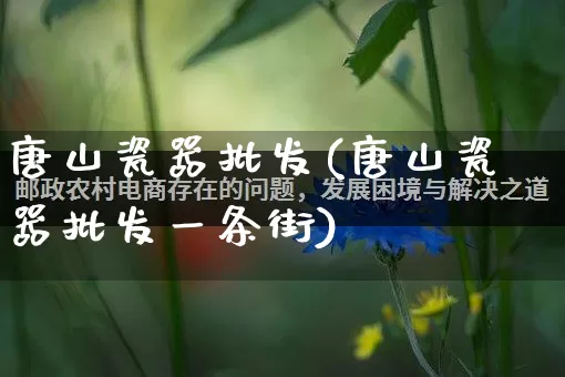 唐山瓷器批发(唐山瓷器批发一条街)_https://www.rzcpcj.com_淘宝运营_第1张