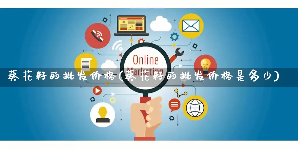 葵花籽的批发价格(葵花籽的批发价格是多少)_https://www.rzcpcj.com_开网店_第1张
