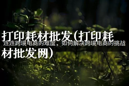 打印耗材批发(打印耗材批发网)_https://www.rzcpcj.com_天猫运营_第1张