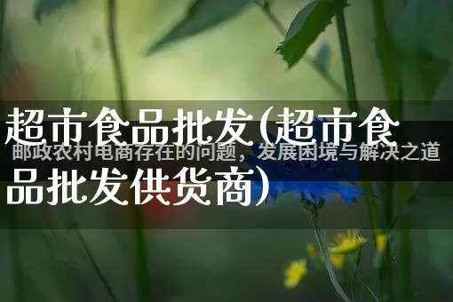超市食品批发(超市食品批发供货商)_https://www.rzcpcj.com_淘宝运营_第1张