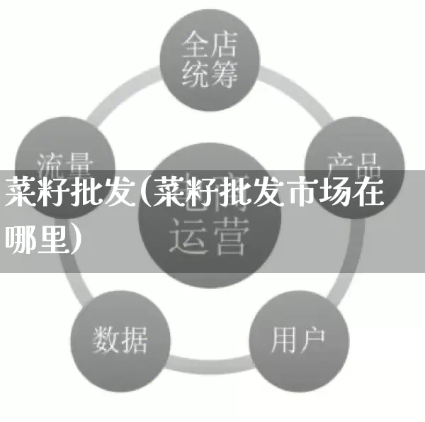 菜籽批发(菜籽批发市场在哪里)_https://www.rzcpcj.com_直通车_第1张