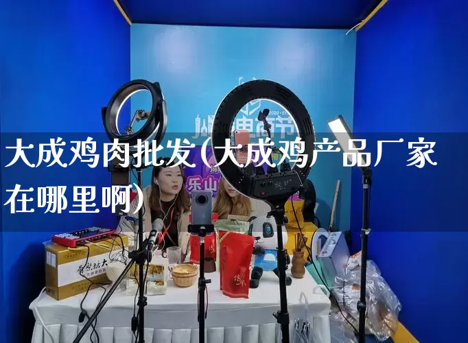 大成鸡肉批发(大成鸡产品厂家在哪里啊)_https://www.rzcpcj.com_开网店_第1张