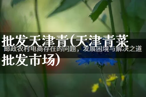 批发天津青(天津青菜批发市场)_https://www.rzcpcj.com_抖音快手_第1张