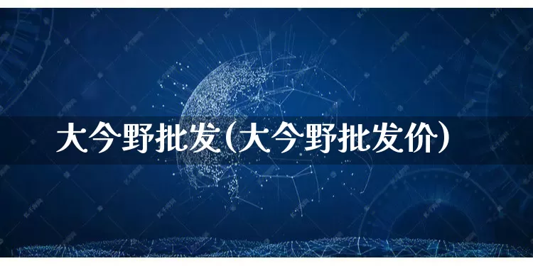 大今野批发(大今野批发价)_https://www.rzcpcj.com_代运营_第1张