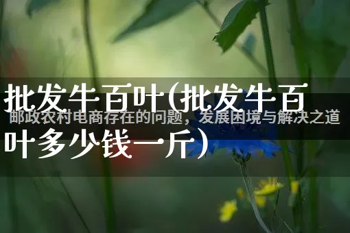 批发牛百叶(批发牛百叶多少钱一斤)_https://www.rzcpcj.com_直通车_第1张