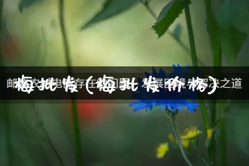 梅批发(梅批发价格)_https://www.rzcpcj.com_抖音快手_第1张