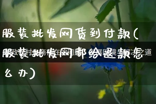 服装批发网货到付款(服装批发网都给退款怎么办)_https://www.rzcpcj.com_代运营_第1张