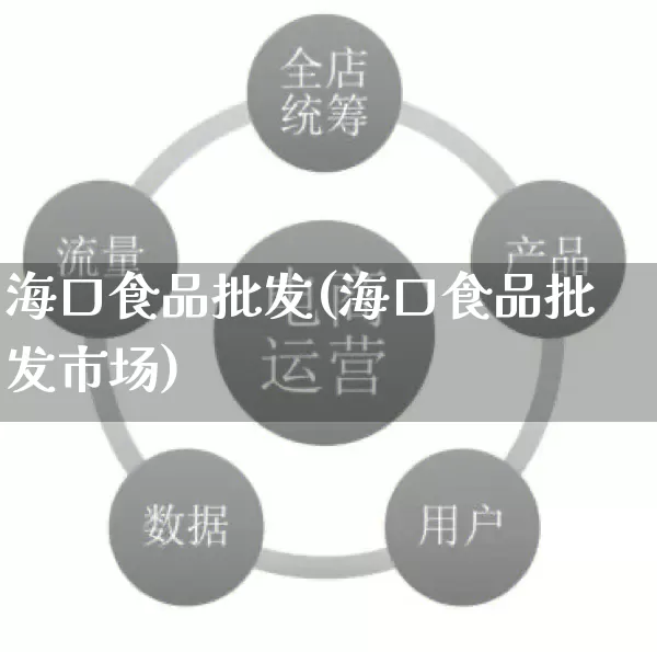 海口食品批发(海口食品批发市场)_https://www.rzcpcj.com_开网店_第1张
