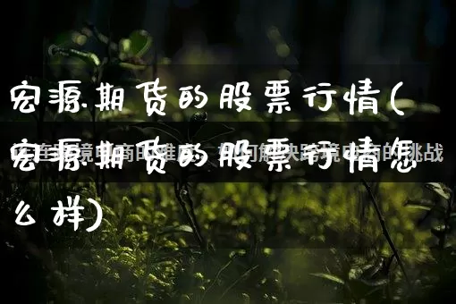 宏源期货的股票行情(宏源期货的股票行情怎么样)_https://www.rzcpcj.com_天猫运营_第1张