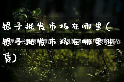 银子批发市场在哪里(银子批发市场在哪里进货)_https://www.rzcpcj.com_淘宝运营_第1张