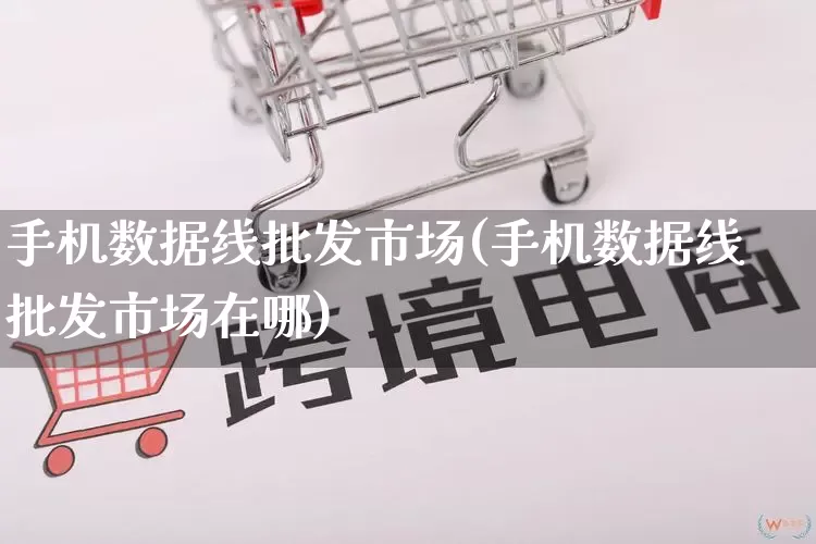 手机数据线批发市场(手机数据线批发市场在哪)_https://www.rzcpcj.com_抖音快手_第1张