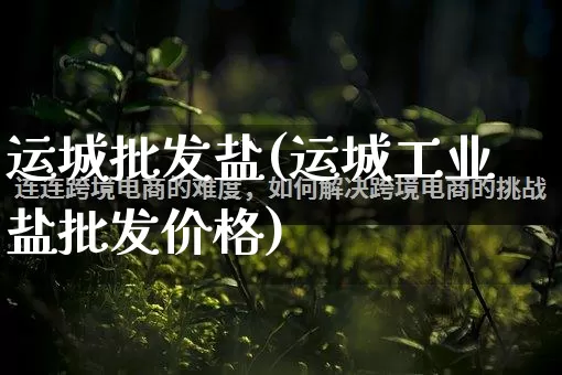 运城批发盐(运城工业盐批发价格)_https://www.rzcpcj.com_抖音快手_第1张