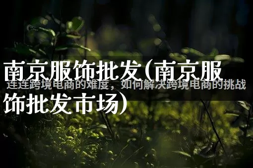 南京服饰批发(南京服饰批发市场)_https://www.rzcpcj.com_抖音快手_第1张