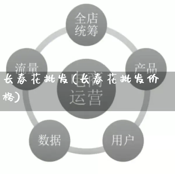 长春花批发(长春花批发价格)_https://www.rzcpcj.com_天猫运营_第1张
