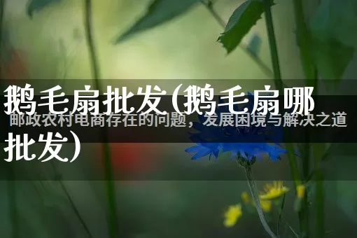 鹅毛扇批发(鹅毛扇哪批发)_https://www.rzcpcj.com_直通车_第1张