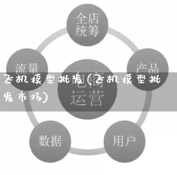 飞机模型批发(飞机模型批发市场)_https://www.rzcpcj.com_天猫运营_第1张