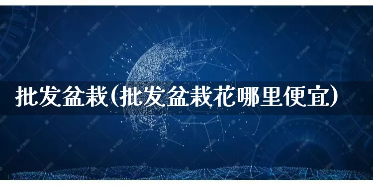 批发盆栽(批发盆栽花哪里便宜)_https://www.rzcpcj.com_开网店_第1张