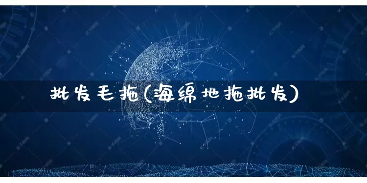 批发毛拖(海绵地拖批发)_https://www.rzcpcj.com_代运营_第1张