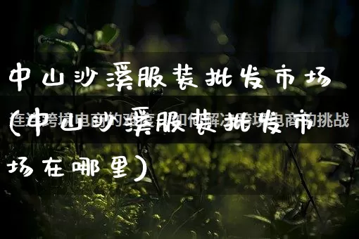 中山沙溪服装批发市场(中山沙溪服装批发市场在哪里)_https://www.rzcpcj.com_淘宝运营_第1张