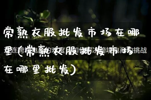 常熟衣服批发市场在哪里(常熟衣服批发市场在哪里批发)_代运营_第1张_电商运营网 常熟衣服批发市场在哪里(常熟衣服批发市场在哪里批发)_https://www.rzcpcj.com_代运营_第1张