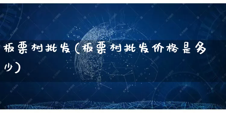 板栗树批发(板栗树批发价格是多少)_https://www.rzcpcj.com_直通车_第1张
