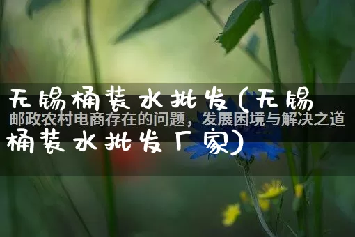 无锡桶装水批发(无锡桶装水批发厂家)_https://www.rzcpcj.com_直通车_第1张