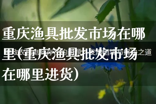 重庆渔具批发市场在哪里(重庆渔具批发市场在哪里进货)_https://www.rzcpcj.com_抖音快手_第1张