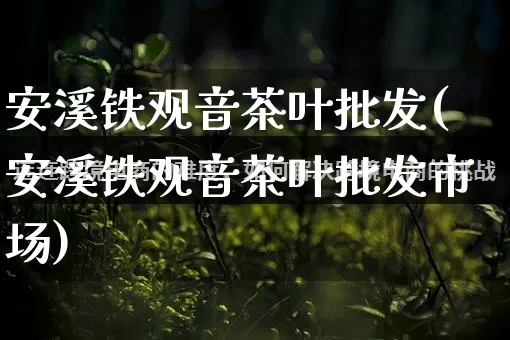 安溪铁观音茶叶批发(安溪铁观音茶叶批发市场)_https://www.rzcpcj.com_淘宝运营_第1张