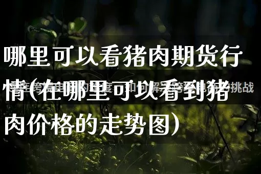 哪里可以看猪肉期货行情(在哪里可以看到猪肉价格的走势图)_https://www.rzcpcj.com_直通车_第1张