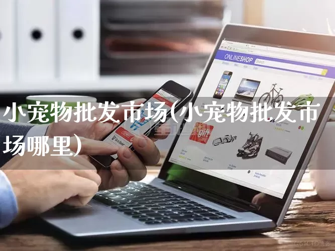 小宠物批发市场(小宠物批发市场哪里)_https://www.rzcpcj.com_代运营_第1张