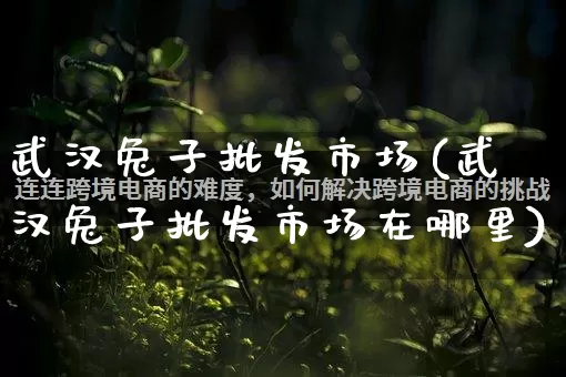 武汉兔子批发市场(武汉兔子批发市场在哪里)_https://www.rzcpcj.com_淘宝运营_第1张