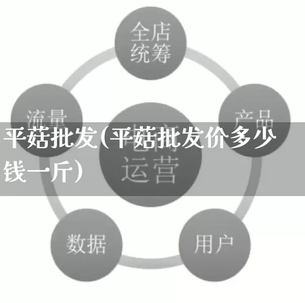 平菇批发(平菇批发价多少钱一斤)_https://www.rzcpcj.com_代运营_第1张