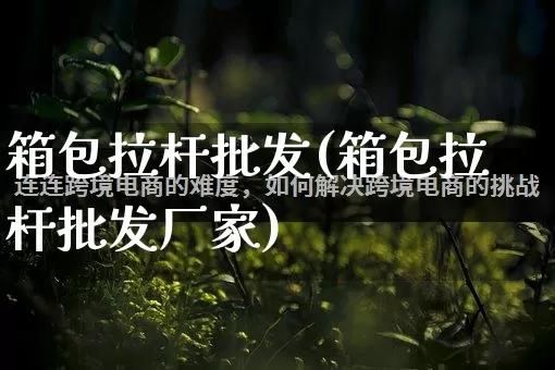 箱包拉杆批发(箱包拉杆批发厂家)_https://www.rzcpcj.com_抖音快手_第1张