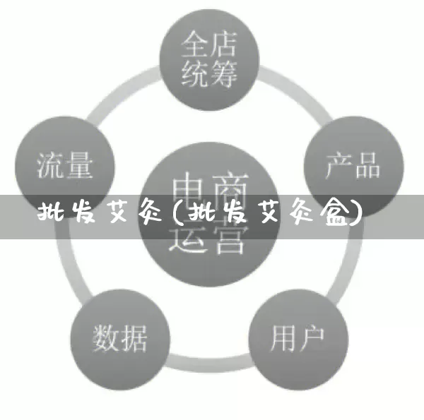 批发艾灸(批发艾灸盒)_https://www.rzcpcj.com_代运营_第1张