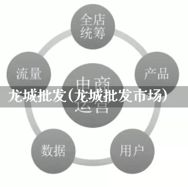 龙城批发(龙城批发市场)_https://www.rzcpcj.com_天猫运营_第1张