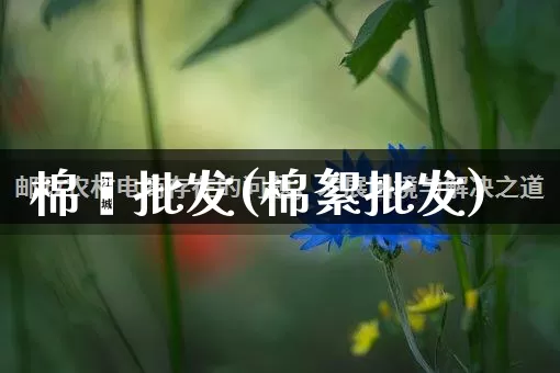 棉祙批发(棉絮批发)_https://www.rzcpcj.com_代运营_第1张