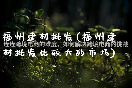 福州建材批发(福州建材批发比较大的市场)_https://www.rzcpcj.com_代运营_第1张