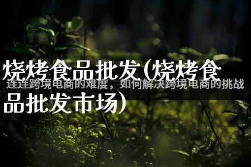 烧烤食品批发(烧烤食品批发市场)_https://www.rzcpcj.com_抖音快手_第1张