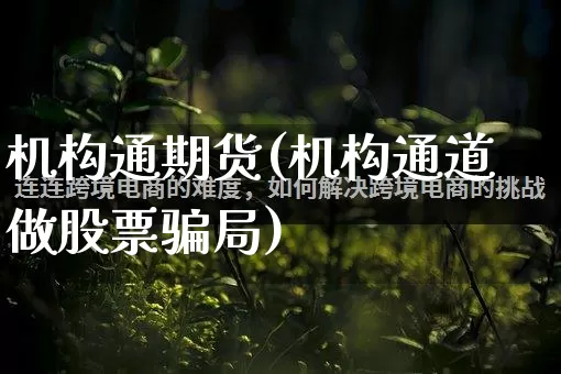 机构通期货(机构通道做股票骗局)_https://www.rzcpcj.com_淘宝运营_第1张