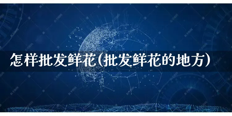 怎样批发鲜花(批发鲜花的地方)_https://www.rzcpcj.com_代运营_第1张