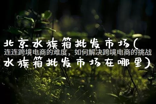 北京水族箱批发市场(水族箱批发市场在哪里)_https://www.rzcpcj.com_直通车_第1张