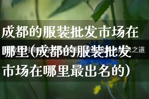 成都的服装批发市场在哪里(成都的服装批发市场在哪里最出名的)_https://www.rzcpcj.com_直通车_第1张