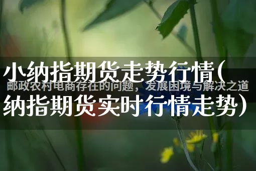 小纳指期货走势行情(纳指期货实时行情走势)_https://www.rzcpcj.com_直通车_第1张