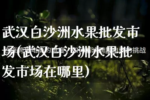 武汉白沙洲水果批发市场(武汉白沙洲水果批发市场在哪里)_https://www.rzcpcj.com_天猫运营_第1张