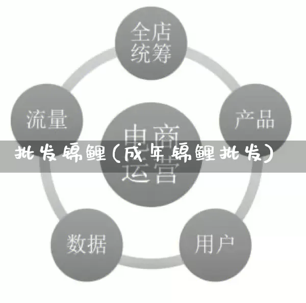 批发锦鲤(成年锦鲤批发)_https://www.rzcpcj.com_代运营_第1张