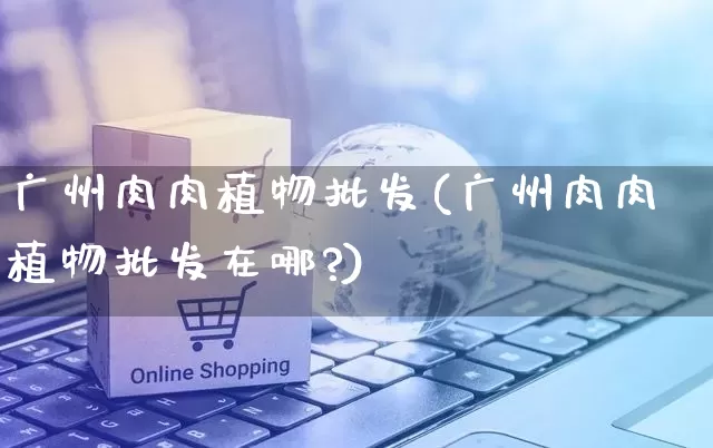 广州肉肉植物批发(广州肉肉植物批发在哪?)_https://www.rzcpcj.com_抖音快手_第1张